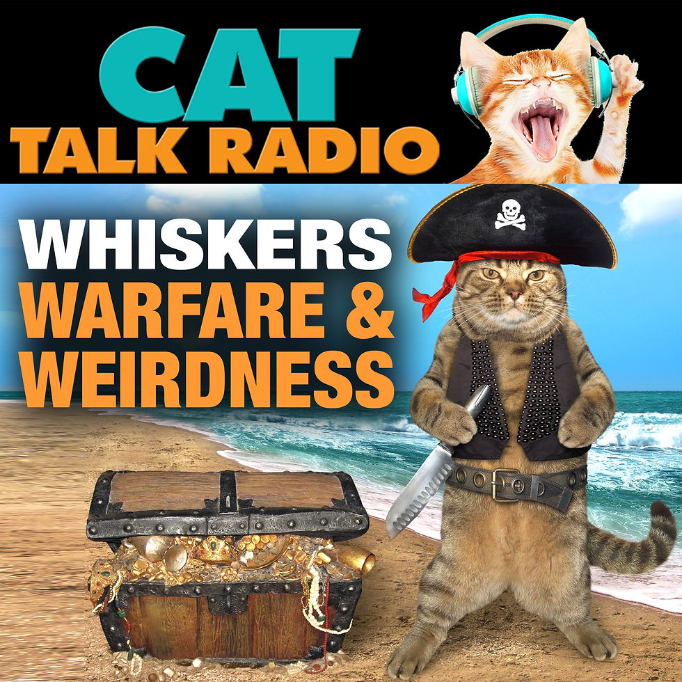 Obscure Cat Facts That Sound Fake (But Aren’t)