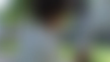 What to Do If Your Cat Gets Lost: A Step-by-Step Guide