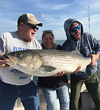 family fish.jpg
