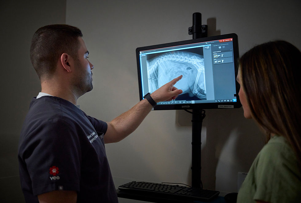 A VEG worker looks at an X-ray.