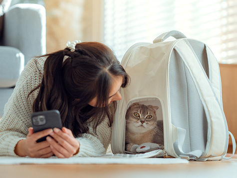 A woman lays on her stomach and smiles at a cat that is resting on the floor under a blanket