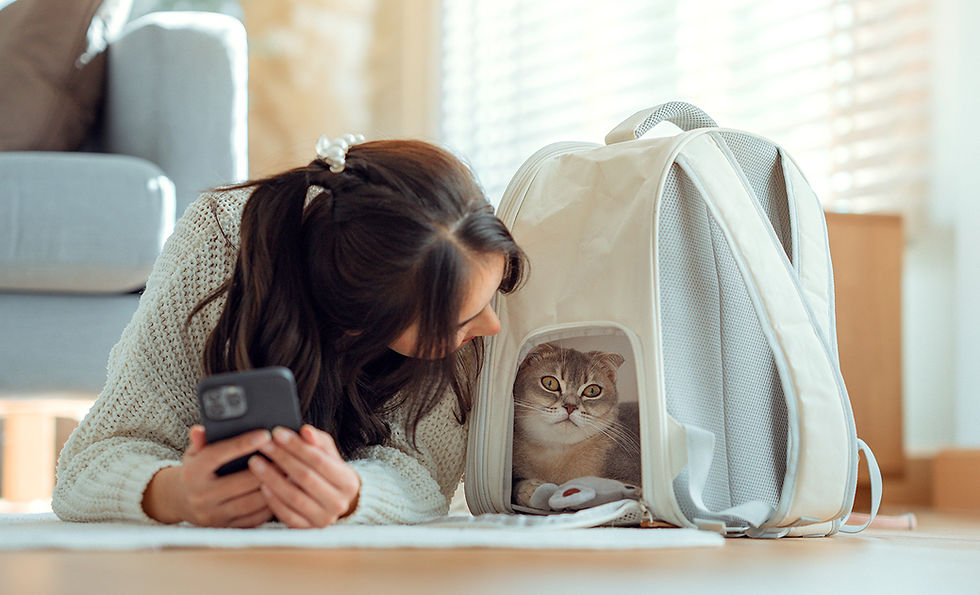 A woman lays on her stomach and smiles at a cat that is resting on the floor under a blanket