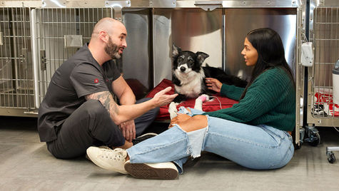 A dog sits on the floor with its owner and a vet at VEG ER for Pets animal hospital