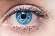 correction vision oeil 974.jpg