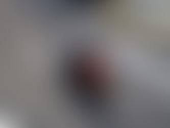 Delivering the Digital Restaurant: Delivery is dead; long live delivery