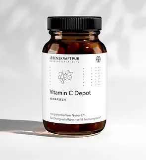 Vitamin C Depot ELEVATION.webp