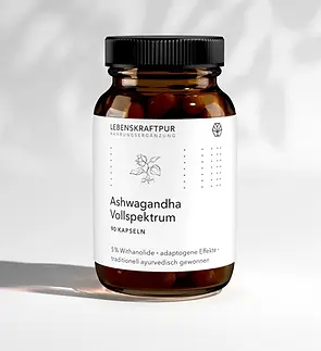 ashwagandha-kapseln-vollspektrum ELEVATION.webp