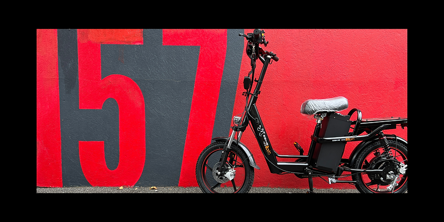 EBIKE100 (7).png