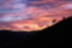 Cure ayurvédique - Vue Ayurveda Ardèche.JPG