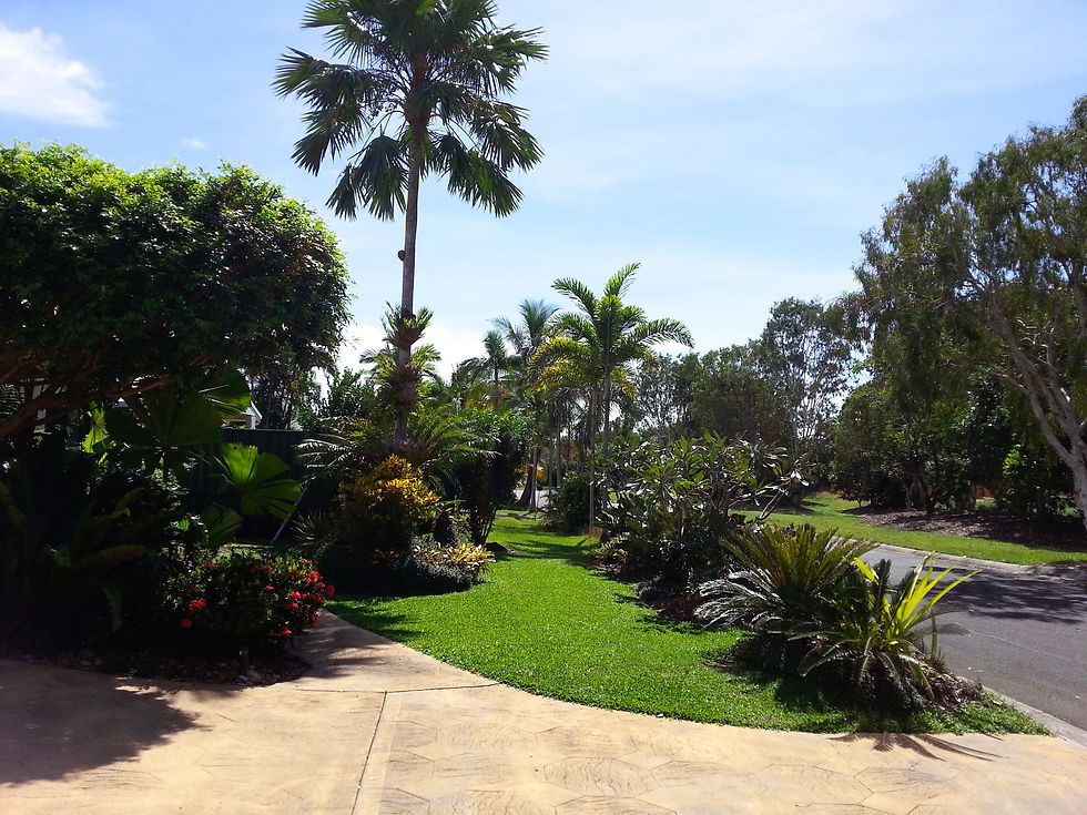 6. View of driveway and road