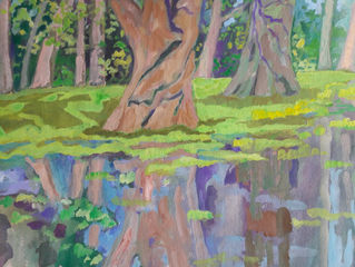 Moerascypressen in een plas water (Vondelpark)