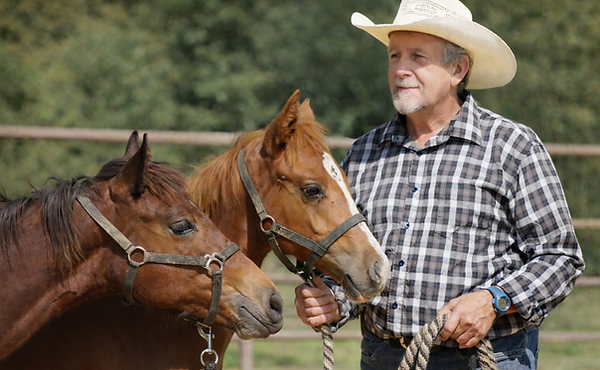 DIDIER et les foals