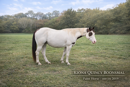 Kiona Quincy Boonsmal dans la prairie (1).png