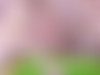 5/1(六)春の蘭本,百花齊放一抹香 - 紐西蘭 & 日本微型自然酒展