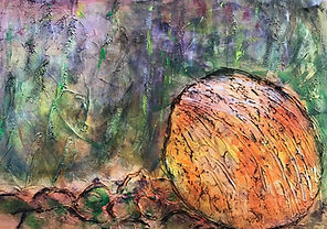 The Sandy Shell_v1_current (1).jpg