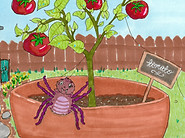 illustration of spide in a tomato plant