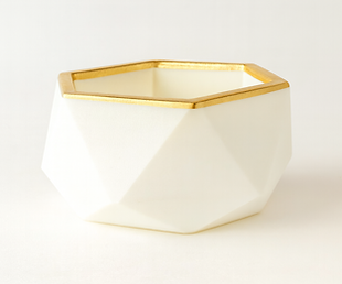 12 inch Hex Pot White with Gold Rim.png