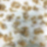 Rice Krispie Treat