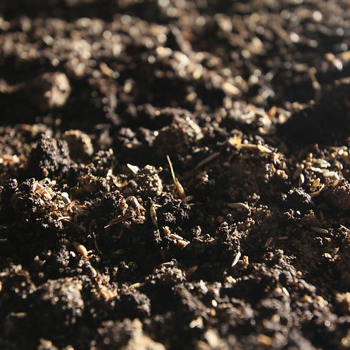 la casa del encuentro con el otro.jpg