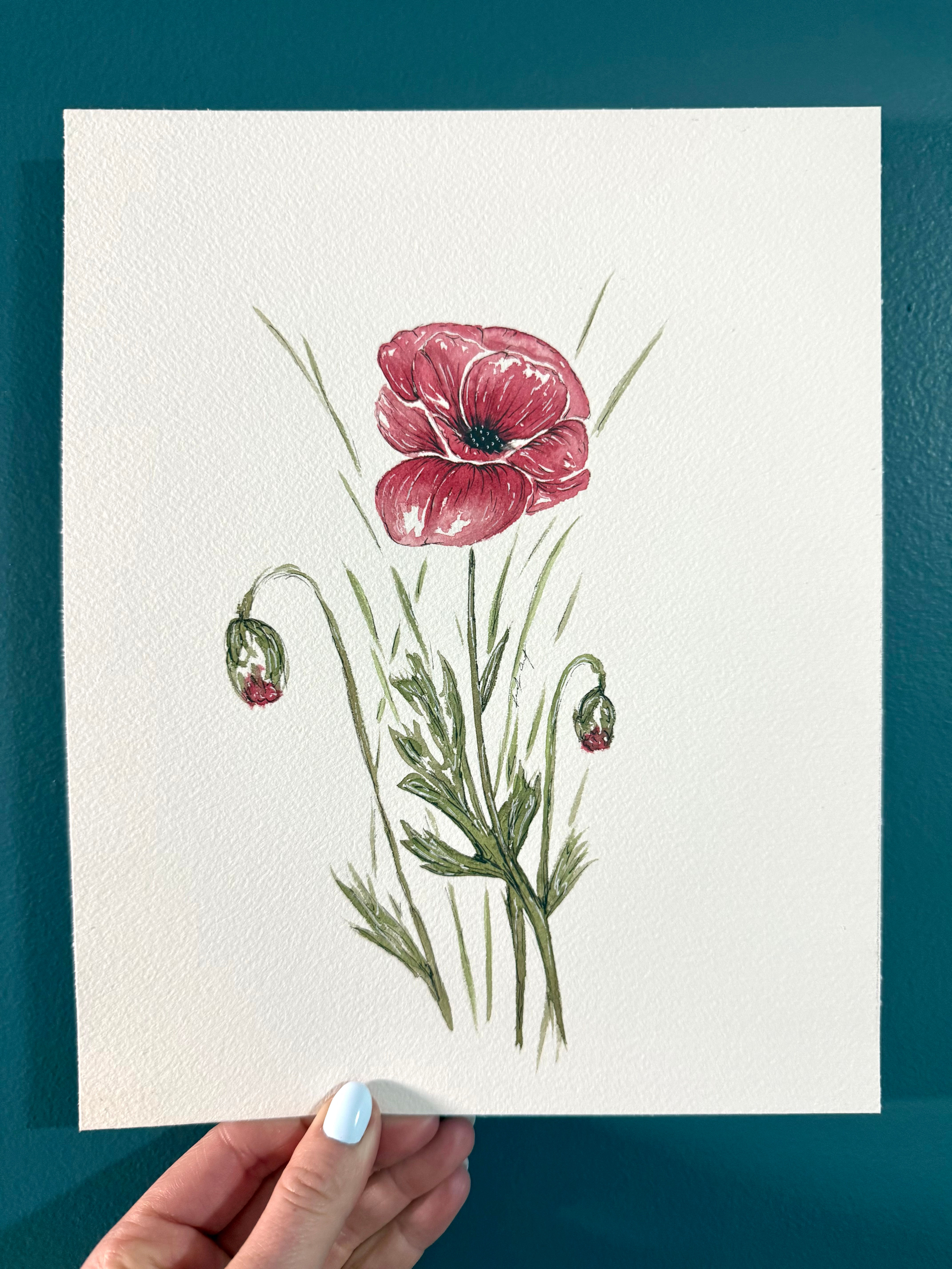 Poppy
