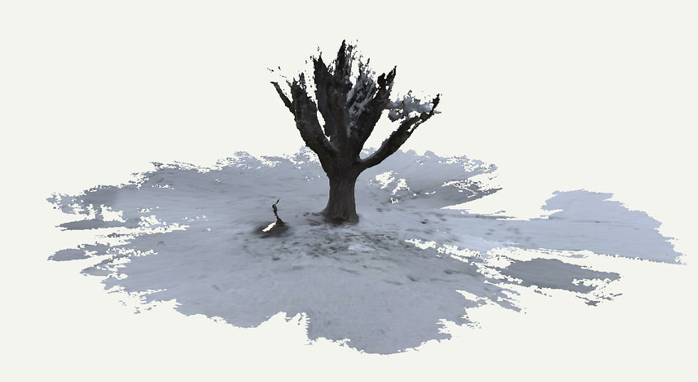Day 3: Polycam 3D Scanning with LiDAR