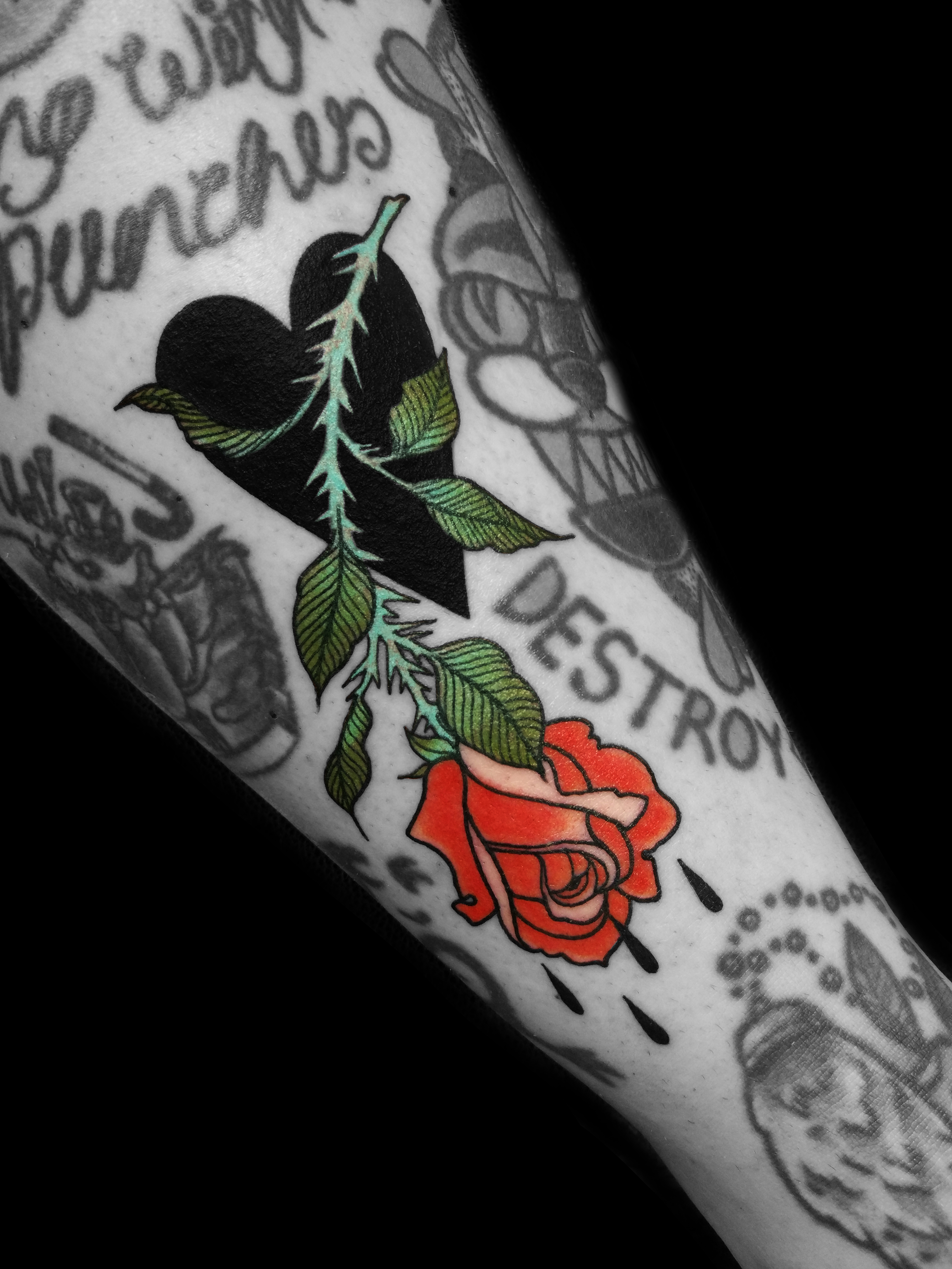 Enisa's sad rose