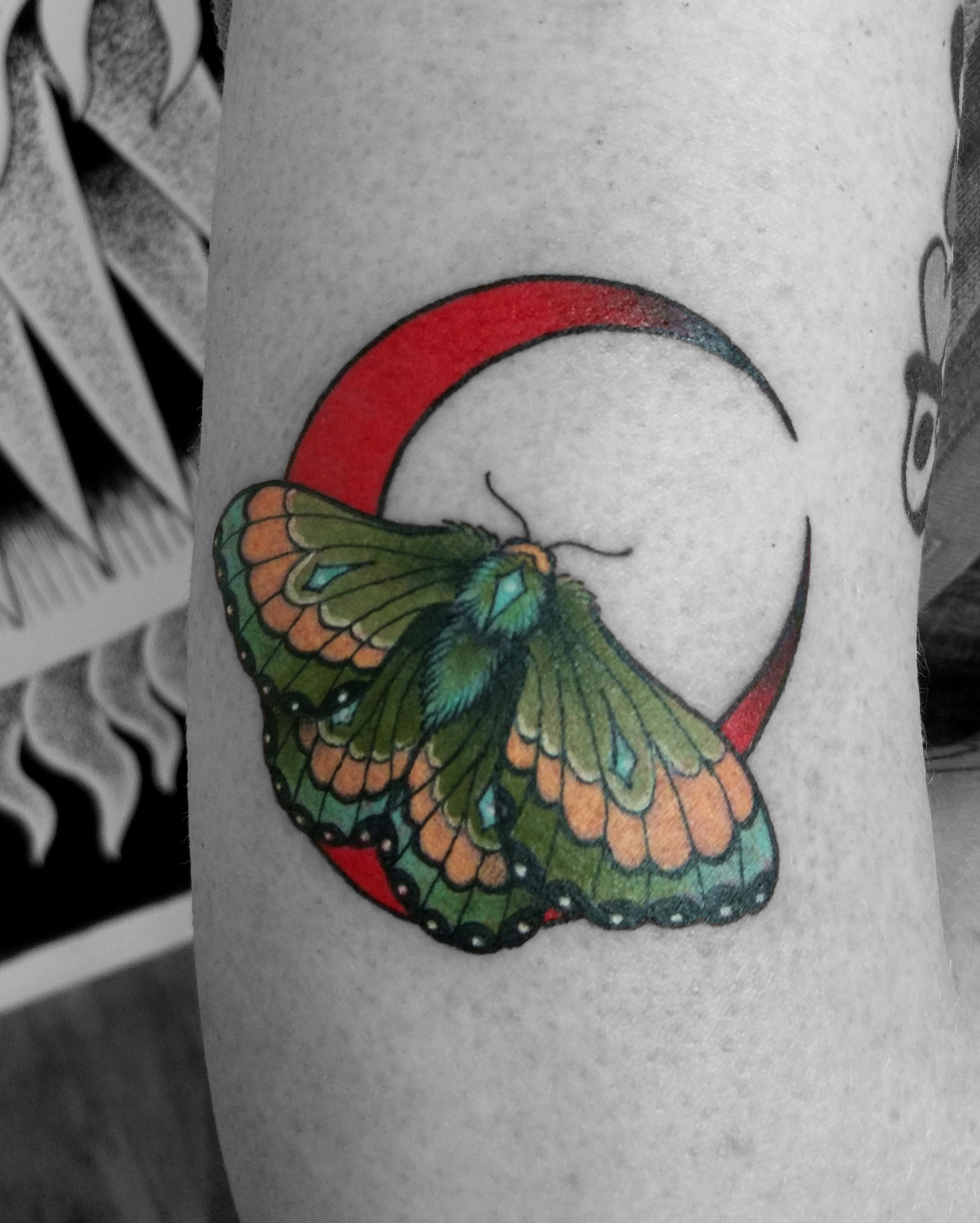 MOON MOTH edited
