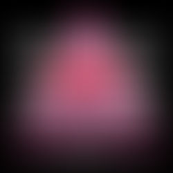 The Return of the Honolulu AIDS Walk