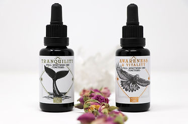 IMG_5723 (1) copy.jpg