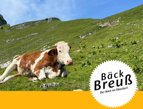 🌿 Kleine Auszeit vom 7. bis 27. Juli