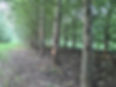 20210823_190205.jpg