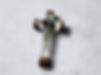 Photoroom_20260402_100824.jpeg