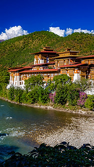 for-BHU-punakha-dzong-7 copy.jpg