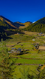 vil-BHU-ngelung-gela-lhakhang-1 copy.jpg