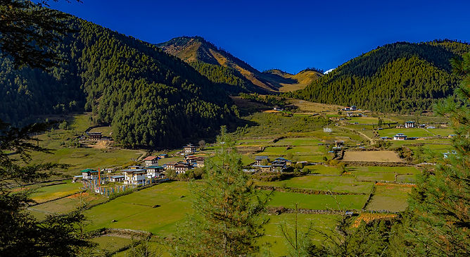 vil-BHU-ngelung-gela-lhakhang-1 copy.jpg