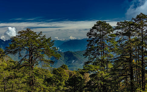 View of Jumolhari Mountain
