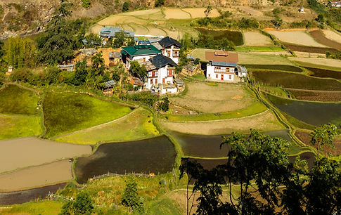 A Village view of Wangdue Ecolodge