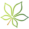 Logo Marieke Brenkman-01_edited.png
