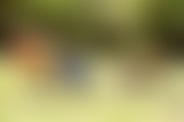 Estate Planning Considerations for Parents with Young Children in Torrance, CA