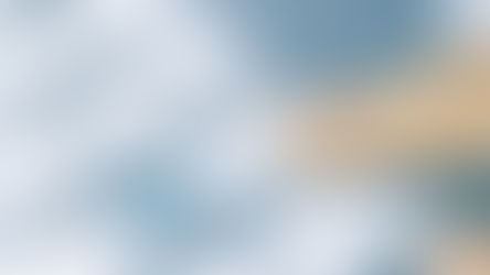 Electronic Wills in Florida Vetoed