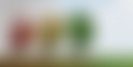 Financial Institutions are Cognizant of Senior’s Diminishing Capacity