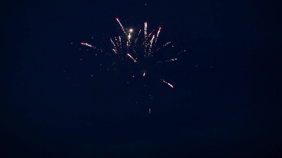 Miniature : Fists of Fury