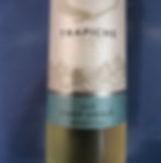 Pinot Grigio