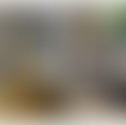 Get up close and personal with wild animals at NIWRA