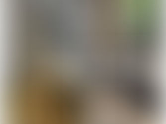 Get up close and personal with wild animals at NIWRA