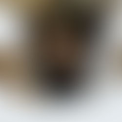 How do wild animals survive in winter? 