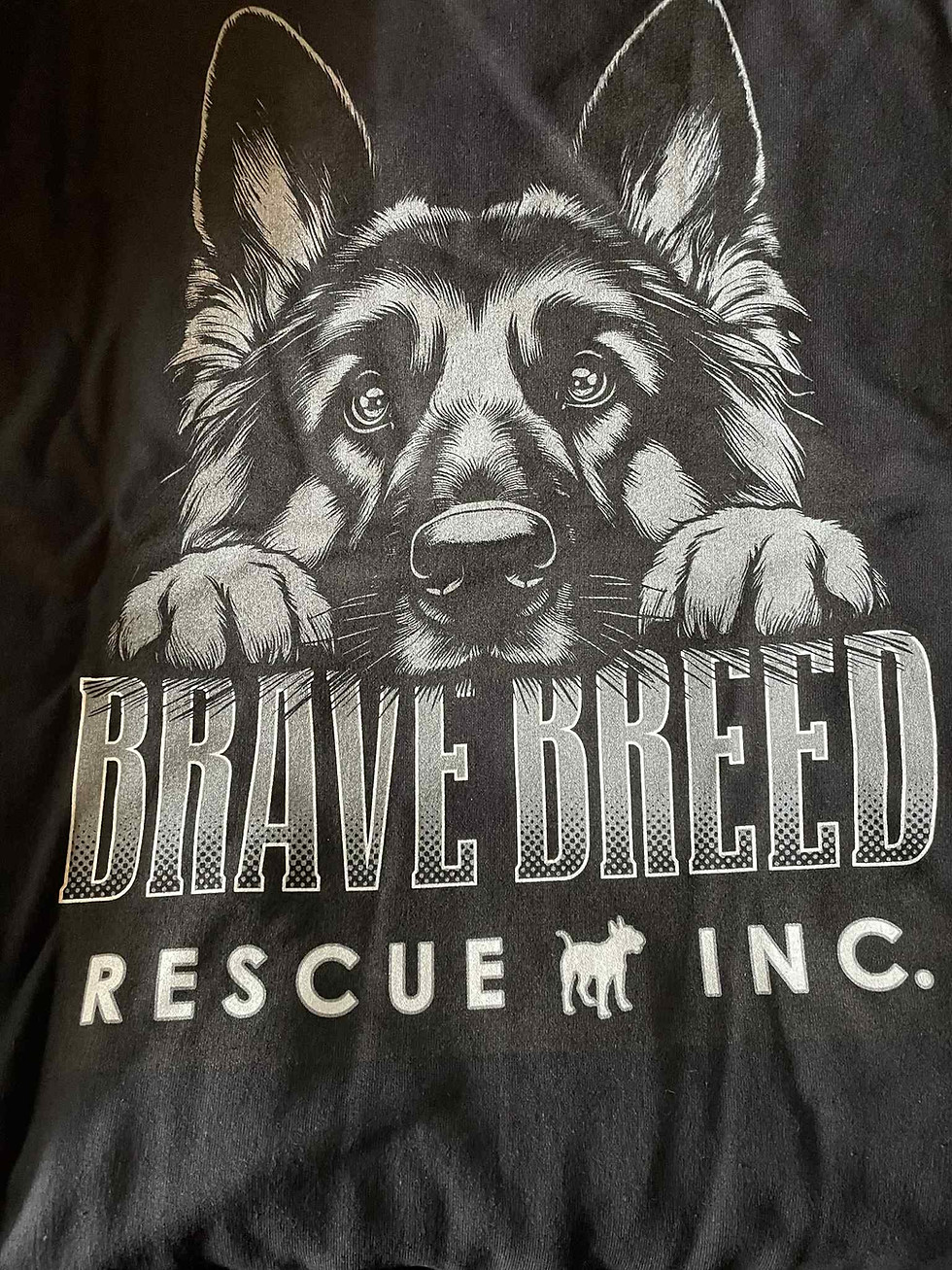 Thumbnail: BBR German Shepherd V-Neck T-Shirt