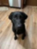 Marley