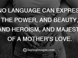 Spreading Light And Love This Holiday