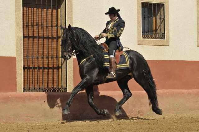 Miniatura: Esceptico N